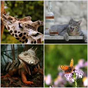 C3935896-9080-47EA-AE0E-3E3A0D5EDD27