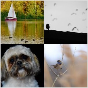 2DD6E288-4E9C-49A2-BB0C-2AF1F54F599C