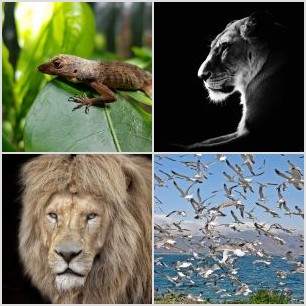 7D7C175E-B572-4146-92DC-B2B2FCA7B213