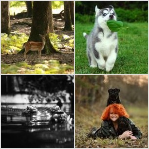25 listopada 2015 (56)