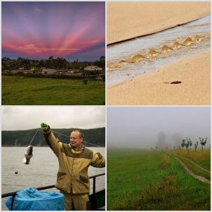 inbound4418323278194787557