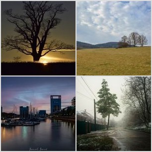 inbound8119971495169642946