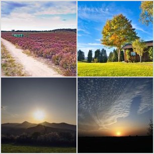 IMG_20211017_185730_605