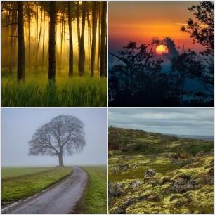 inbound2732227679645986738