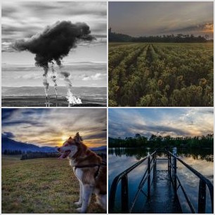 353BEA8D-82ED-4CD7-8F0B-8B2669C76835