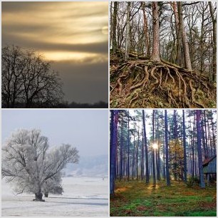 inbound3048990496064508095