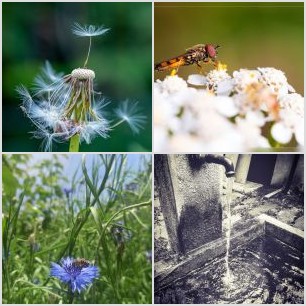 _MG_4936meg_filtered