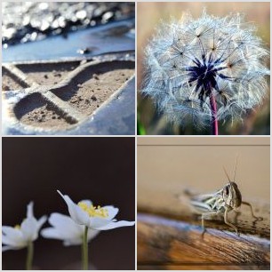 IMG_20201122_092143~3