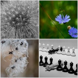 inbound3082107493898545602