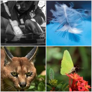 Mi alma se desnuda ante tus ojos.