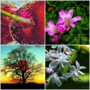 inbound1704543277070479214