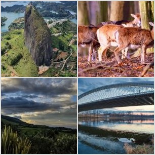 C8817430-8420-4E02-9FEC-3F98FDAB2EA2