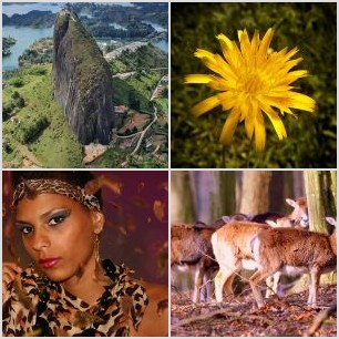 Comecinho de noite ?