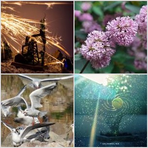 B21DFC33-D97C-4326-B437-36E568612197