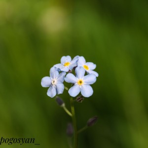 IMG_7094-02