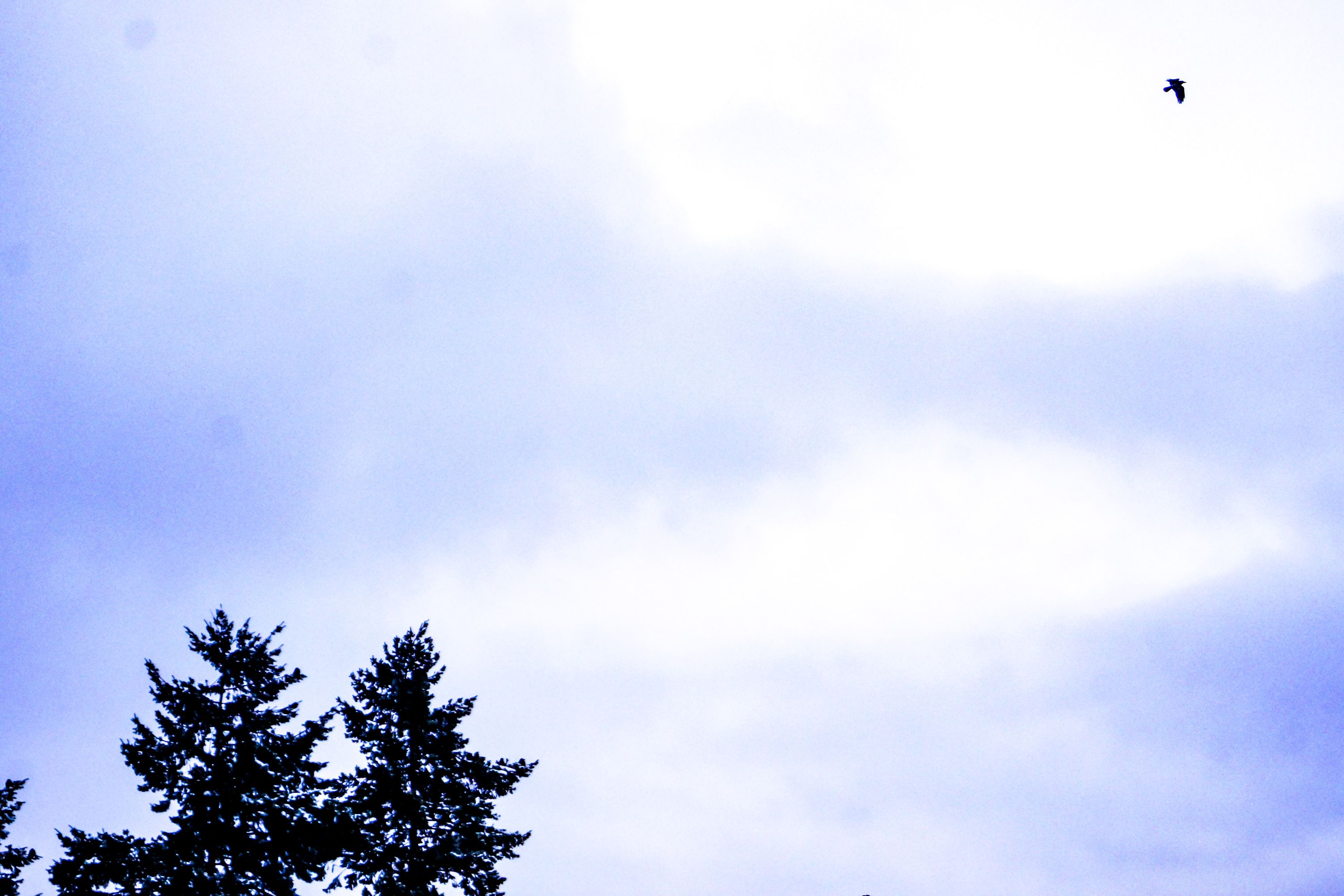 PSX_20220119_175804