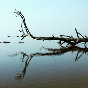 IMG_20200514_093940_574