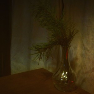 IMG_20220113_154234_480