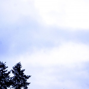 PSX_20220119_175804