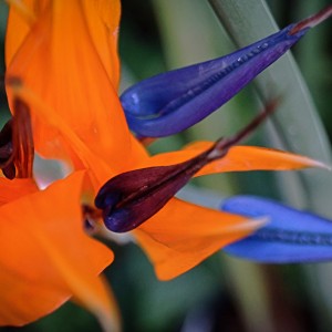 Lumii_20220313_190623031