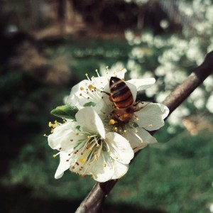 20200526_005749