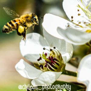 TextOnPhoto_1590461695086
