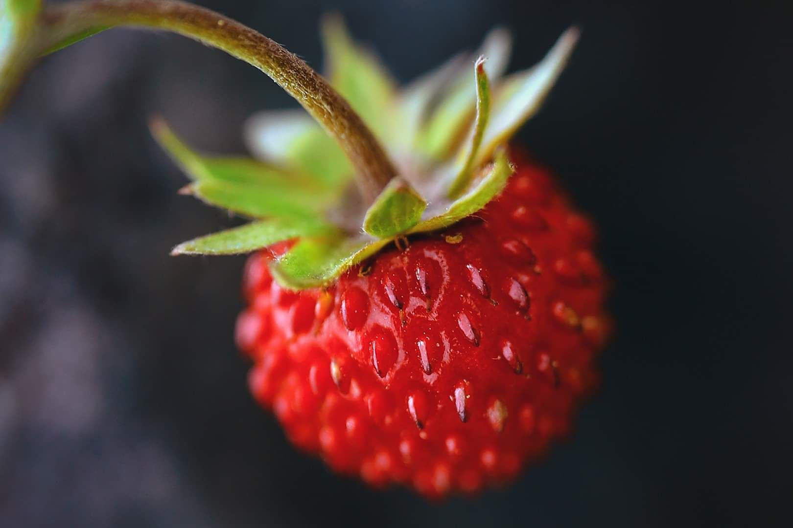 received_546632582677765