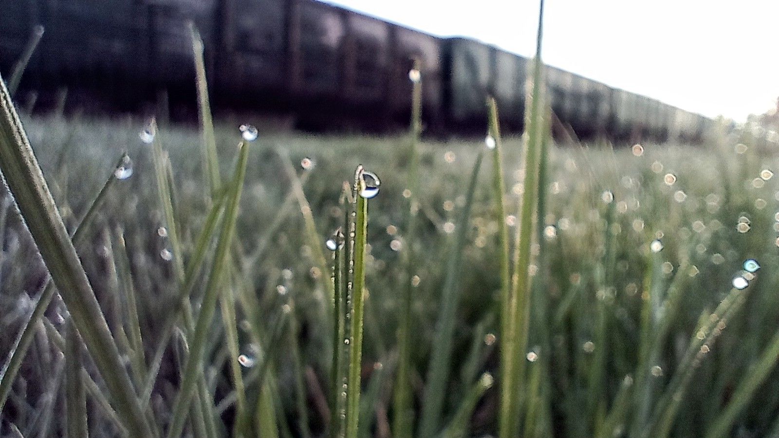 IMG_20230407_065757~2