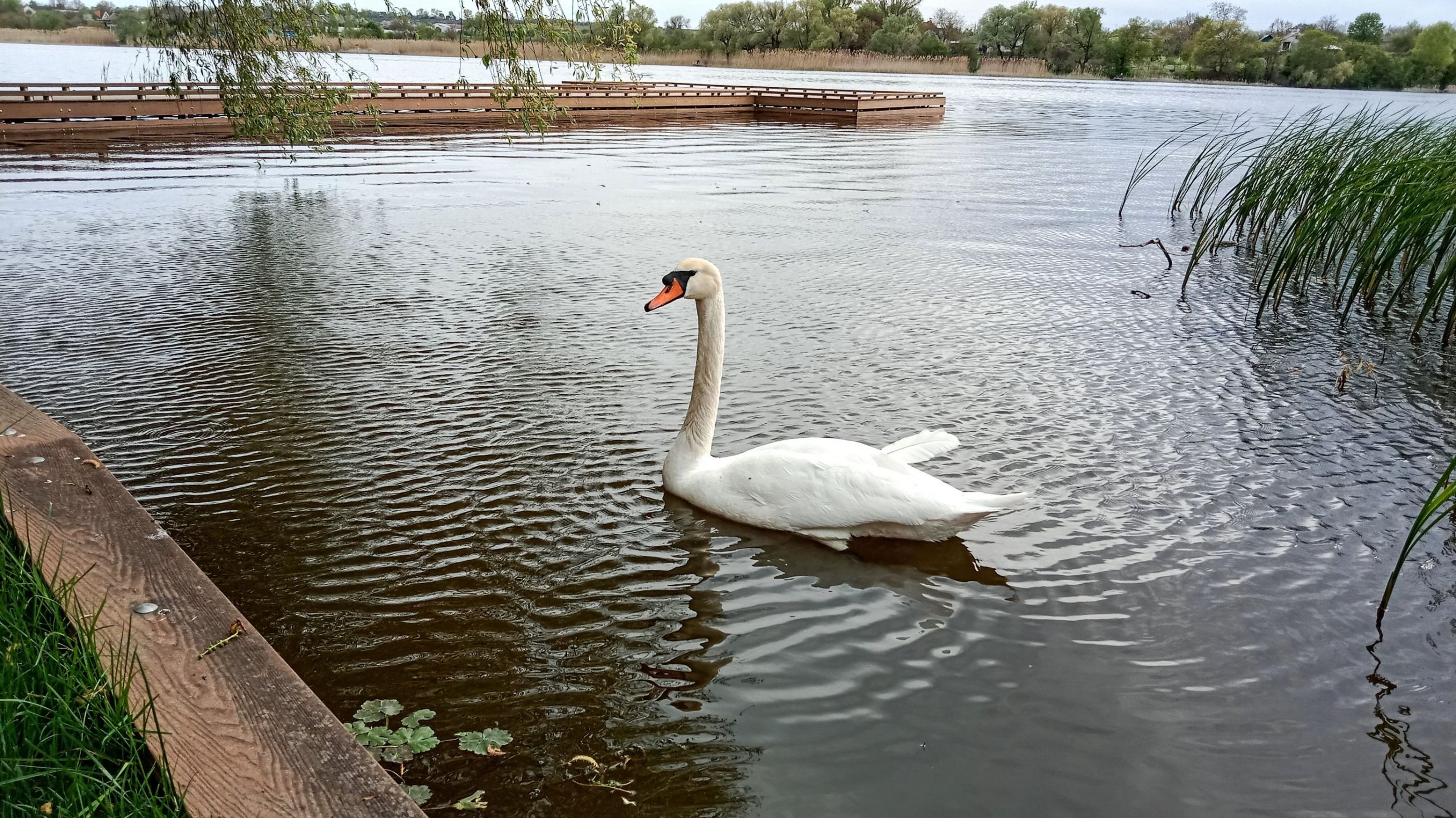 IMG_20230504_175318~2