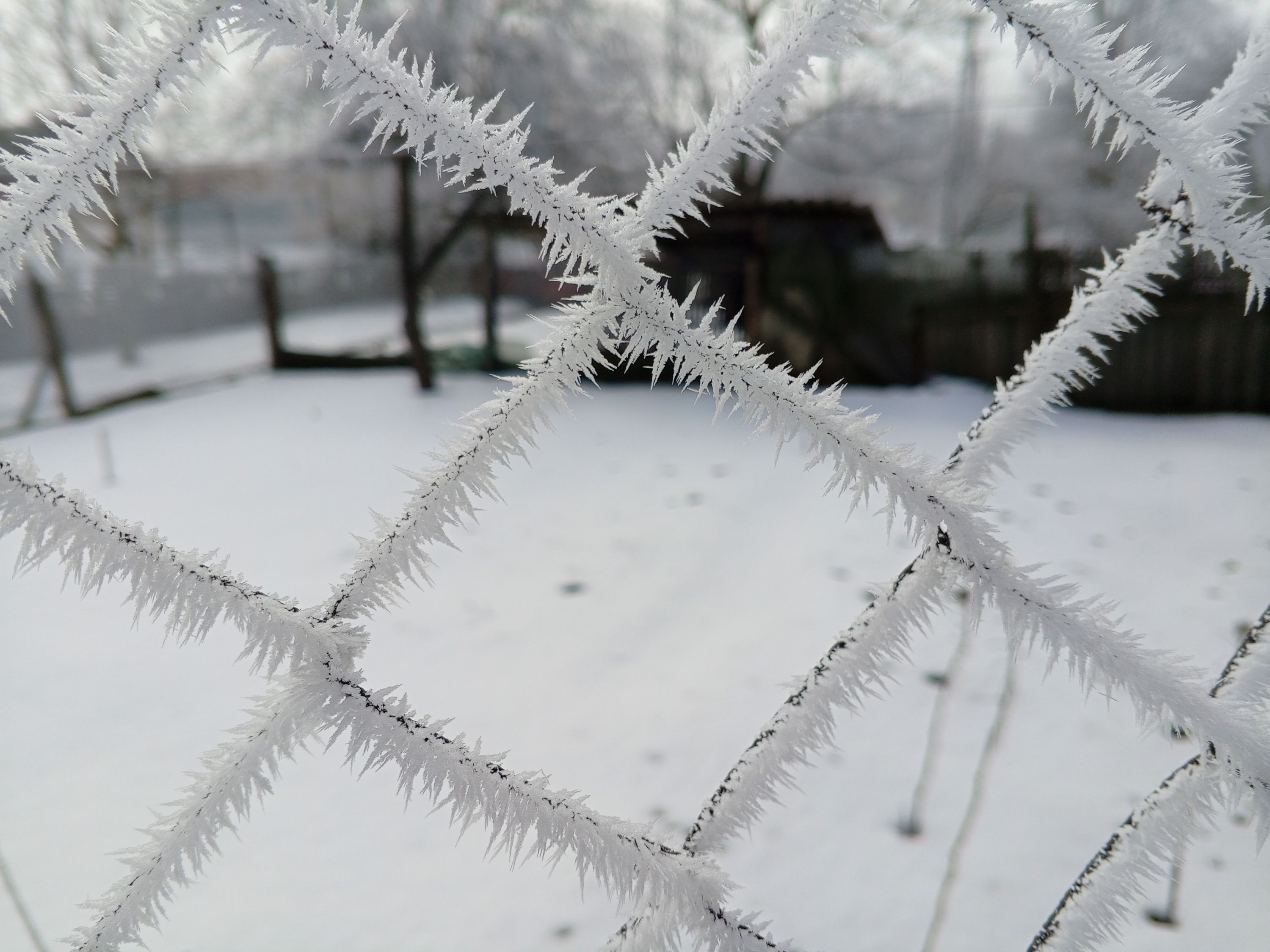 IMG_20260228_093237_412