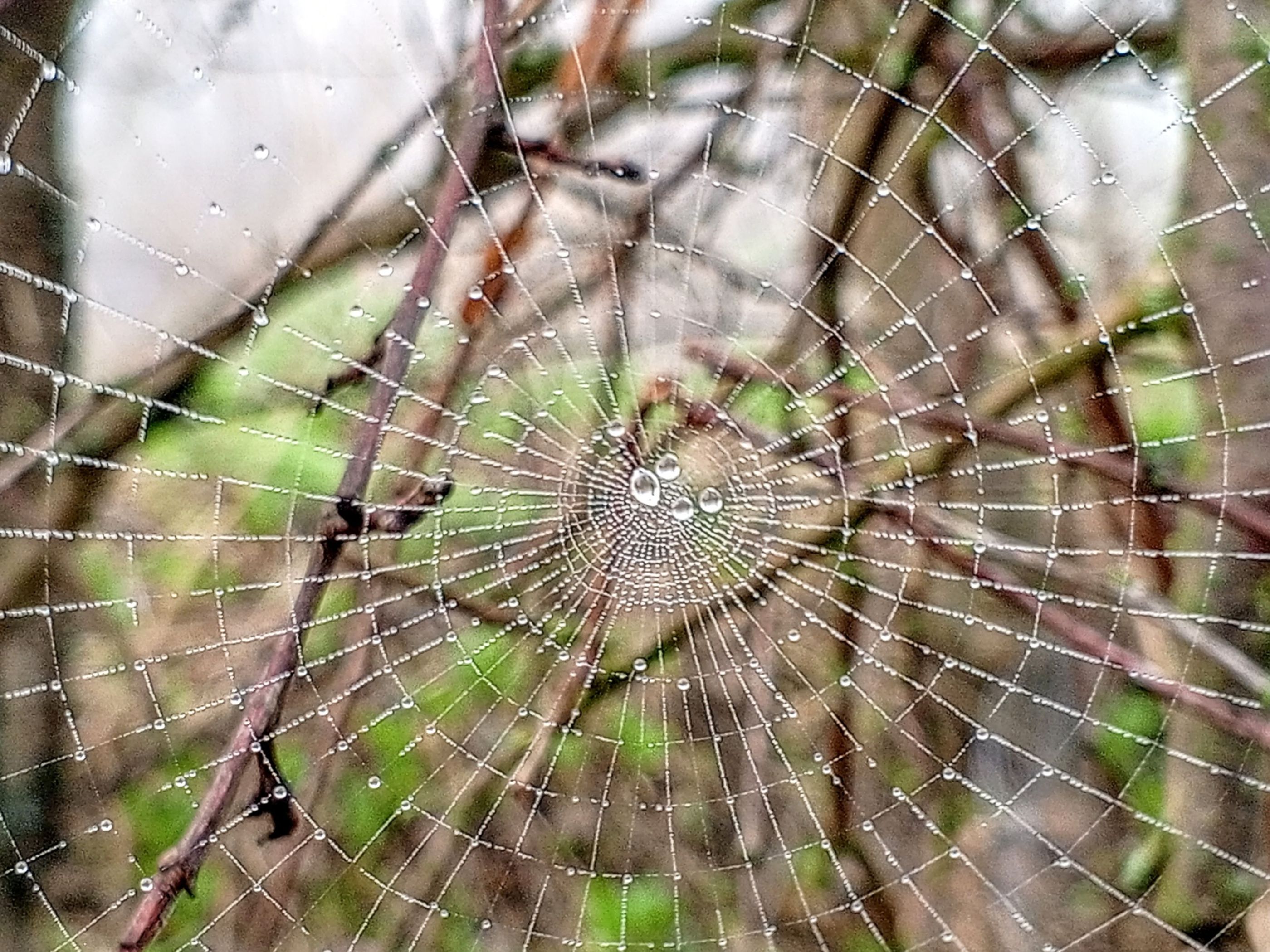 IMG_20260402_075609_201~2