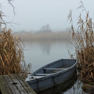 IMG_5360~2