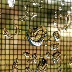 IMG_20220924_155342~2