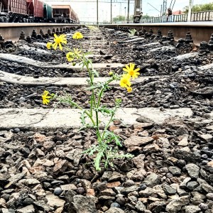 IMG_20230514_161730~2