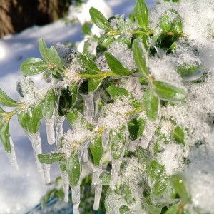 IMG_20260101_103503_903~2