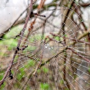 IMG_20260402_075609_201~2