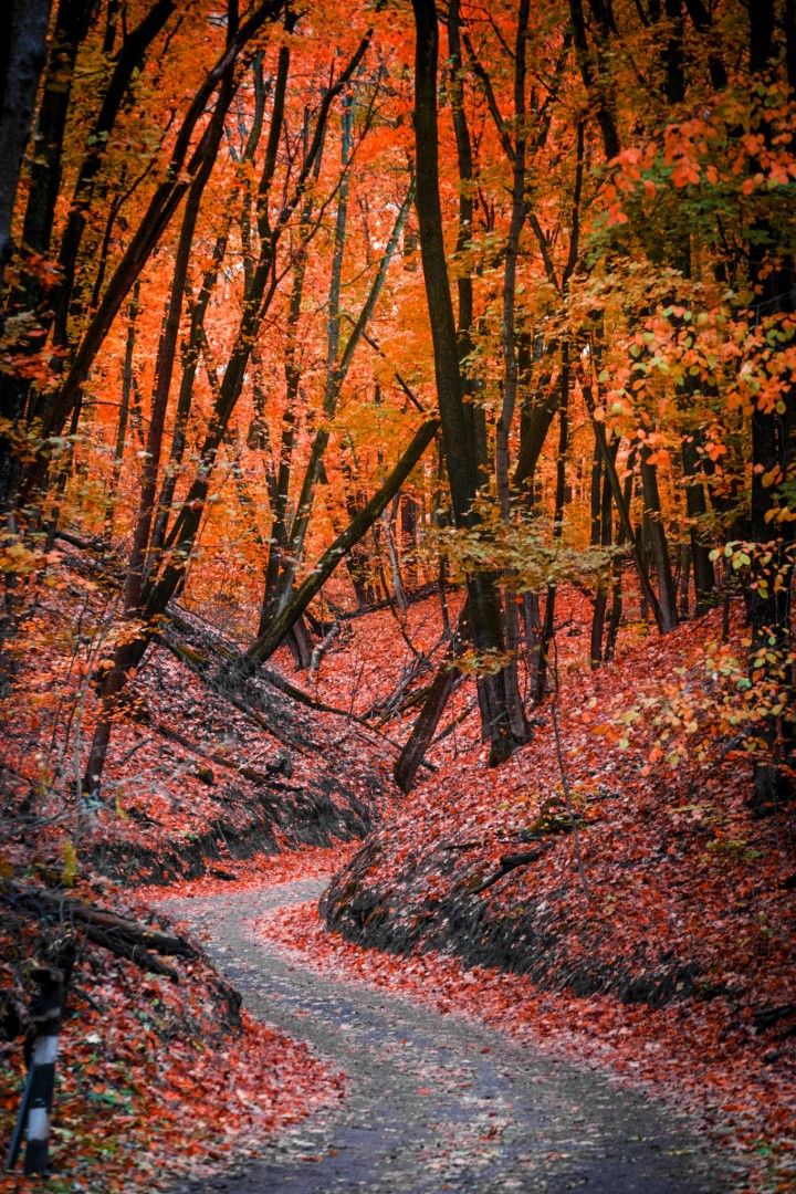 inbound2105159394781830768