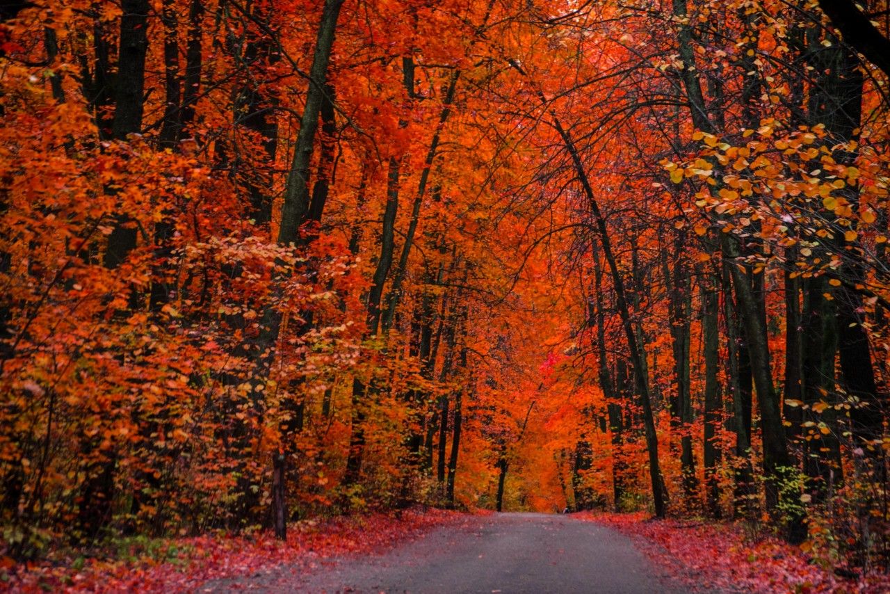 inbound7344697219391814093