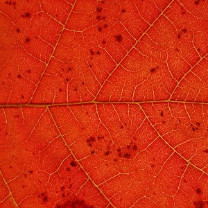 20191015_164453