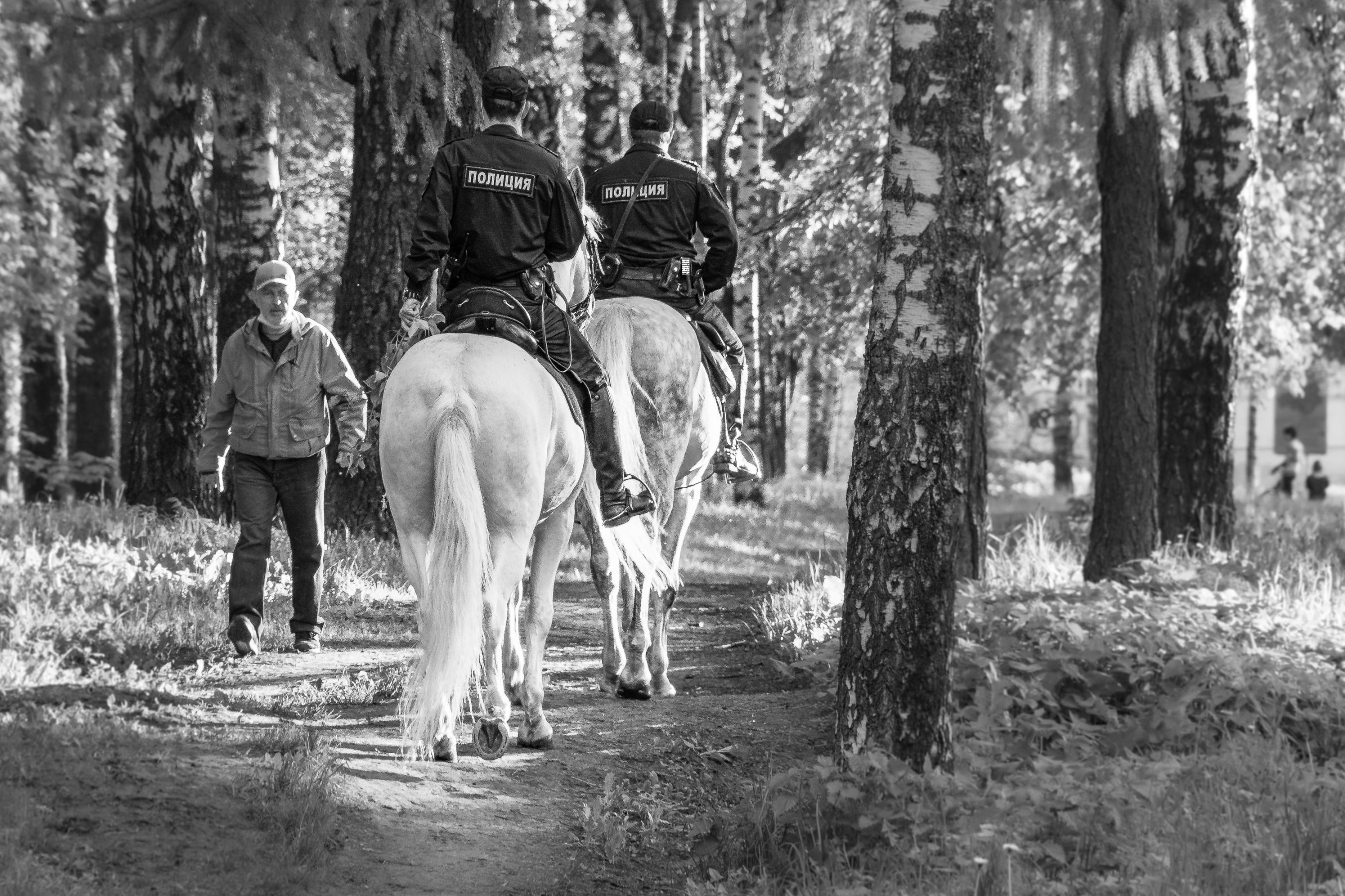 Конный патруль