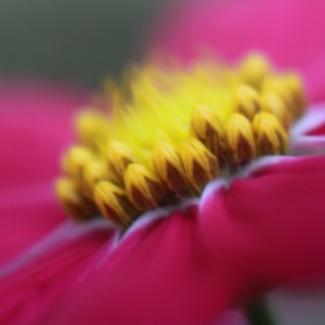 IMG_5243