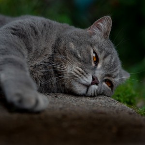 DSC_7762