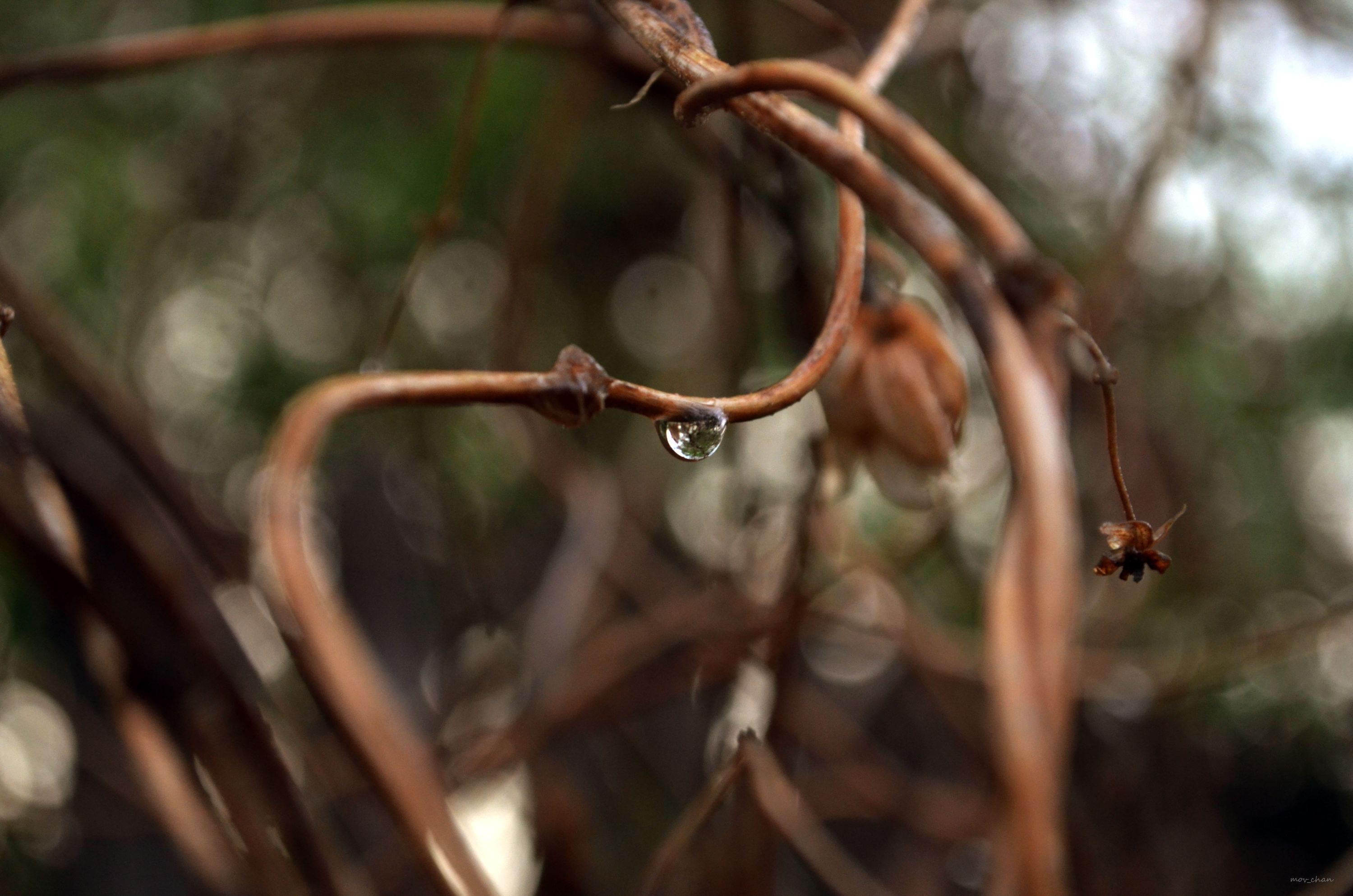 DSCfre_0133
