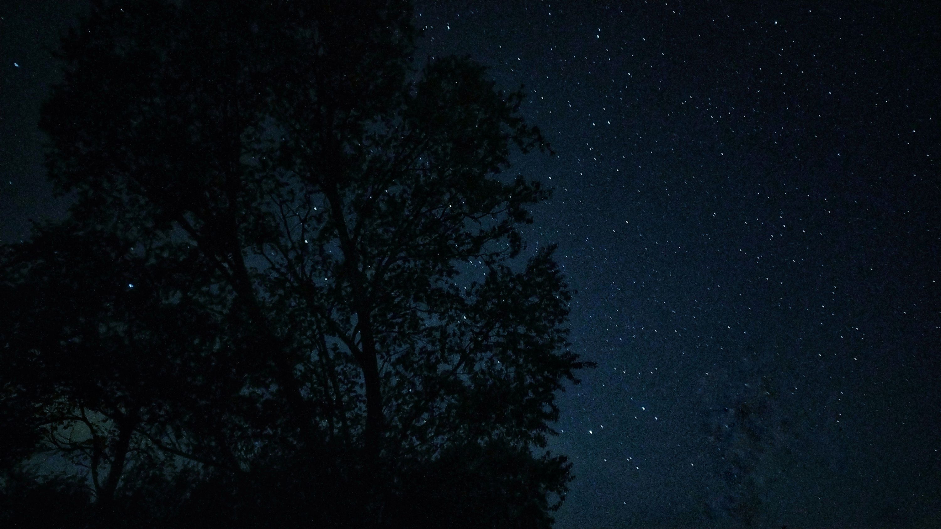 IMG_20210514_235200-01-01