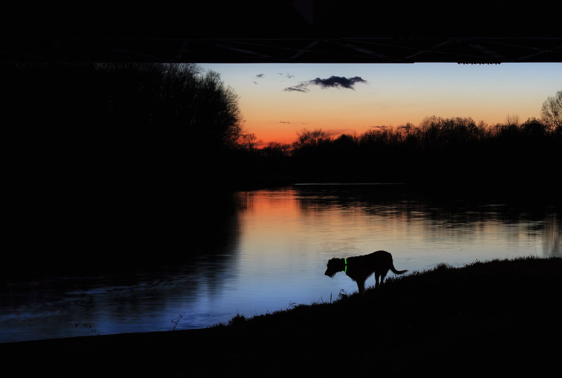 134077063_2711416792503780_6371522887011952144_o