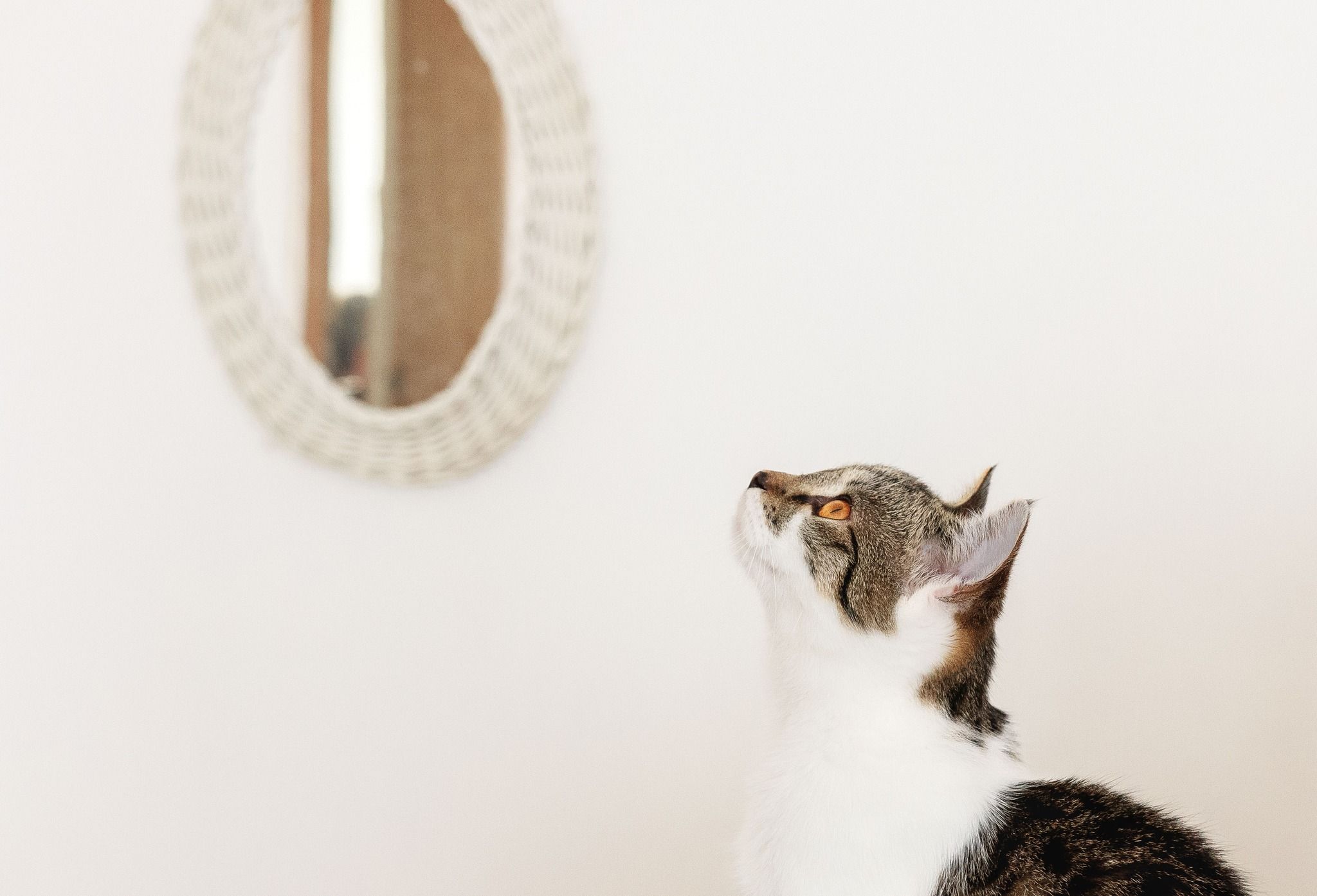 588071303_4058986191080160_3285284983488225531_n