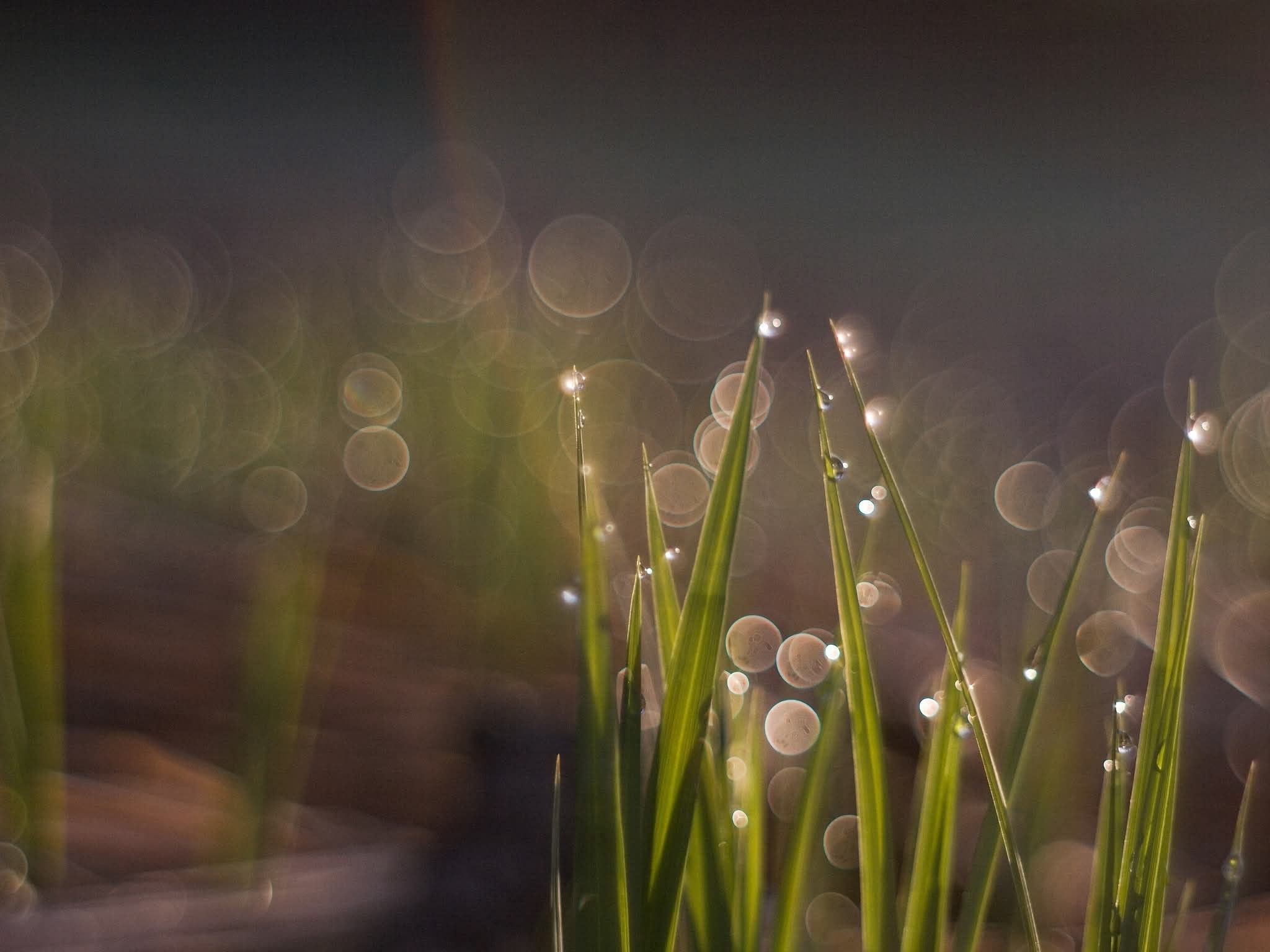 570599373_1492752345731917_3649392953986342143_n