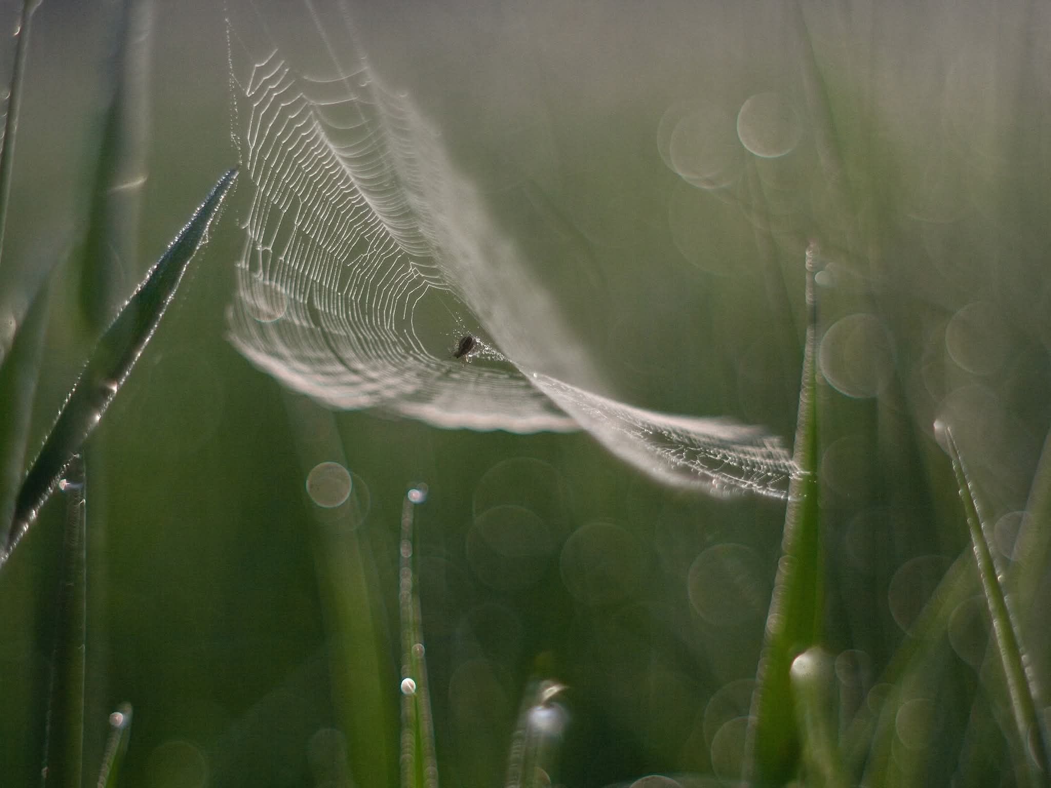 571143051_1492752475731904_8044319411846864636_n