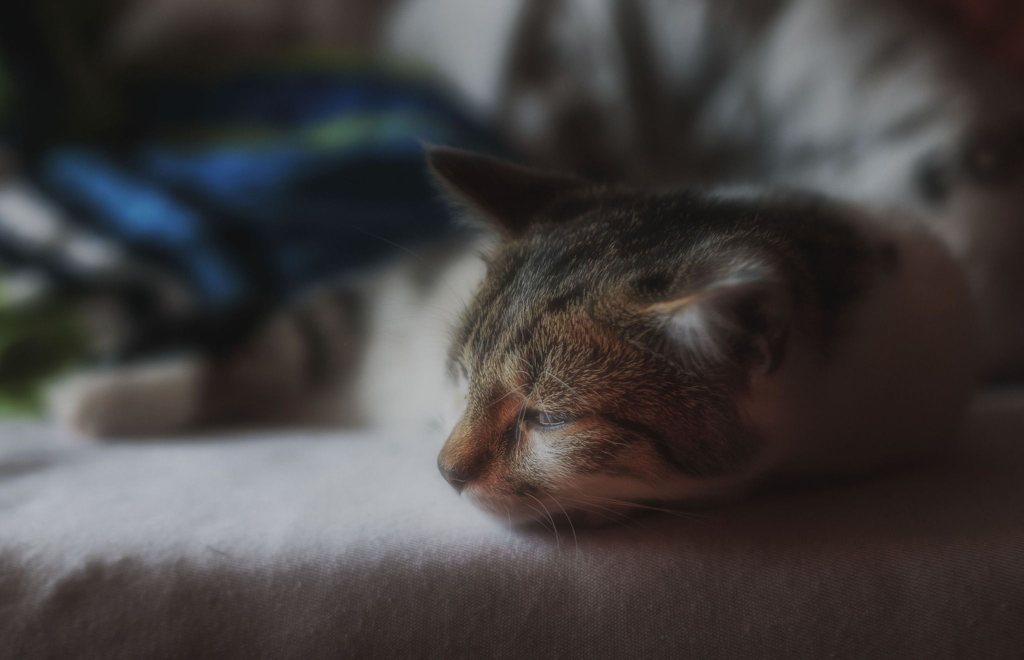 588243908_4058985661080213_2993841072636518762_n