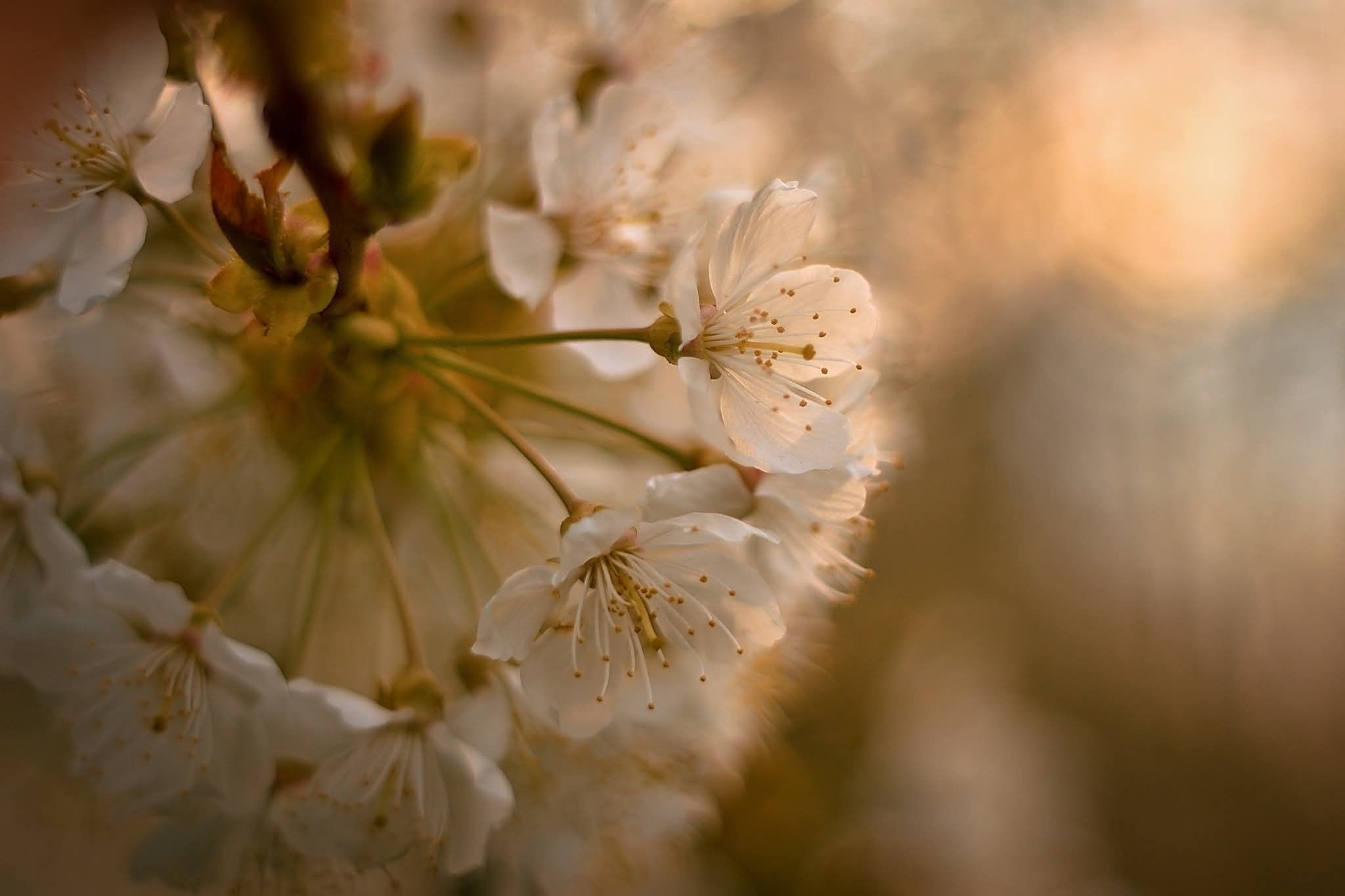 571116082_1492752209065264_249652917496747125_n